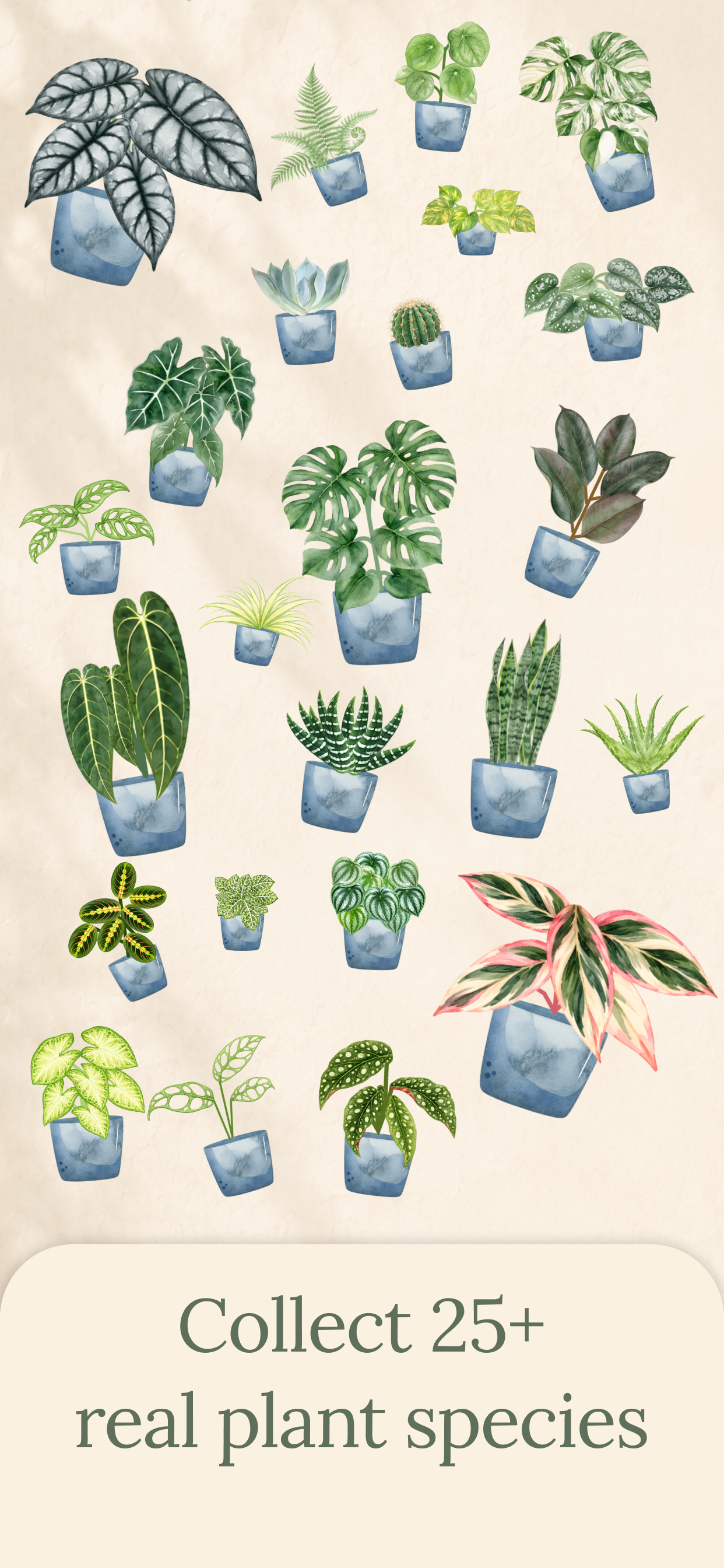 Collect 25+ real plant species